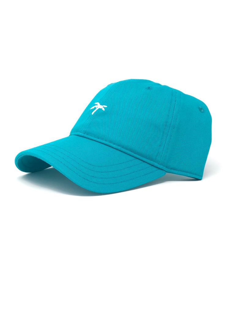 Dad Hat - Teal – Three Dots and a Dash